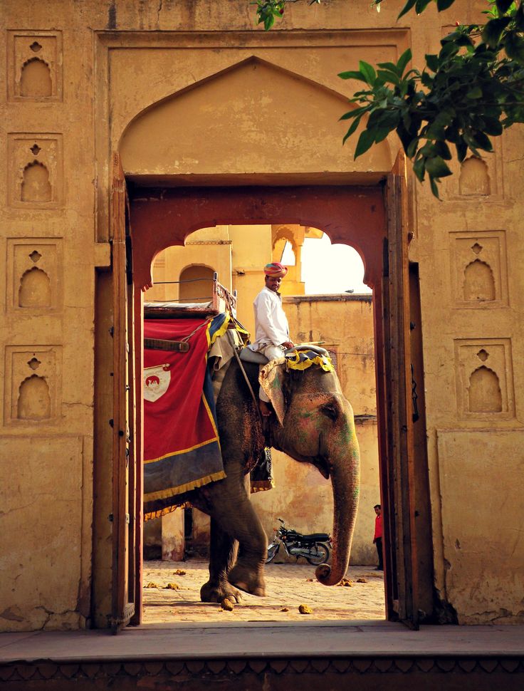 Viaje a Rajasthan