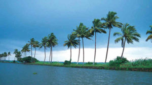 Kerala en Viaje por India