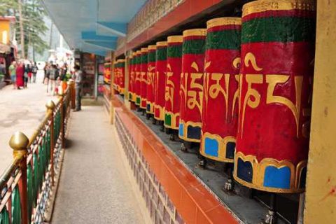 Visita el templo Dalai Lama Dharamshala