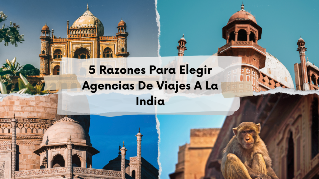 5 Razones Para Elegir Agencias De Viajes A La India 3