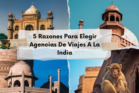 5 Razones Para Elegir Agencias De Viajes A La India 1